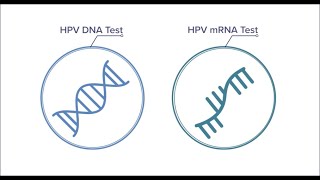 Know your mRNA from your DNA [upl. by Burger916]