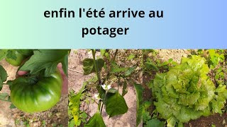 enfin lété au potager tour du potager [upl. by Annovaj411]