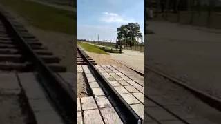 Real video  Auschwitz Birkenau Museum  Hitlers Gas Chamber [upl. by Yanttirb516]