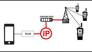 Motorola Linked Capacity Plus [upl. by Jamille267]