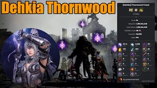 Black Desert  Dehkia Thornwood Forest  Darkknight Awakening  16100 Trash 129b Silver Lv2H [upl. by Caines484]