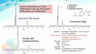 Reversephase HPLC [upl. by Lorsung]