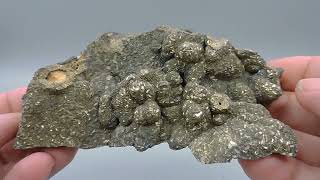 Marcasite from Germany – large cabinet size [upl. by Slein]