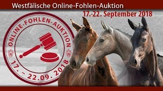 2 Westfälische OnlineFohlenAuktion 17  23 September 2018 [upl. by Bergman]