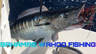 High Speed Trolling For Wahoo  BAHAMAS  Wahoo Fishing [upl. by Sirapal592]