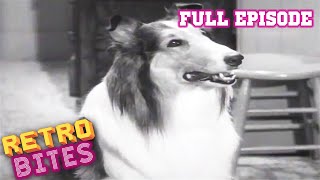 Lassie full episodes  The Bonnet  30 Minutes  Old Cartoons [upl. by Filler304]