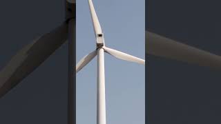 Wind farm dharmeshshortfilm dharmeshchauhan windfarm windhouswindviwnetrural villagelife [upl. by Akinahs]