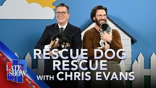 Rescue Dog Rescue with Chris Evans [upl. by Haissem]