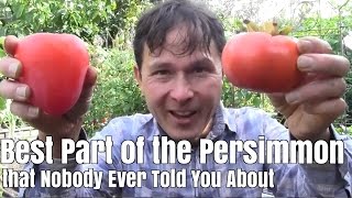 Best Part of the Persimmon Fruit that Nobody Ever Told You About [upl. by Aleik]