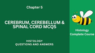 Cerebrum Cerebellum amp Spinal Cord MCQ Questions Answers  Spinal Cord Class 912 MCQs Ch 5 Notes PDF [upl. by Campagna]