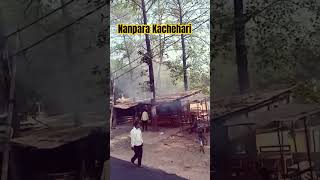 Nanpara Kachehari Ka Itna bura Hall😭😭😢 trending bgm [upl. by Drawoh]