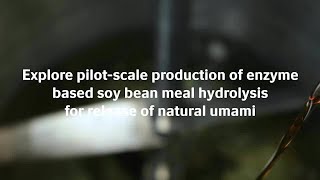 Explore pilotscale production of soy bean meal based eHVP [upl. by Ignatius203]