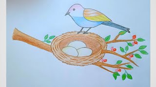 How To Draw Bird With Nest Step By Step Very Easy Drawing Video [upl. by Innes]