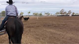 2019 Coonamble Classic Challenge Rd1  Cantaur Park Daddy Who amp Luke Bennett [upl. by Carlo]