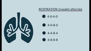 Respiration nasale alternée guidée [upl. by Viola]