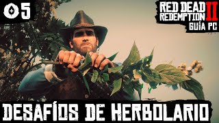 🏁 Red Dead Redemption 2 PC Herbolario 05 Desafíos [upl. by Neahs495]