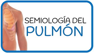 SEMIOLOGÍA PULMONAR  motivos de consulta examen físico ruidos auscultatorios y patologías [upl. by Ayikahs]