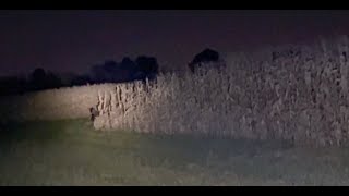 FINALLY THE MOST SCARIEST NEVER EVER BEFORE SEEN OHIO PREDATOR FOOTAGE CAPTURED ON CAMERA [upl. by Farwell]