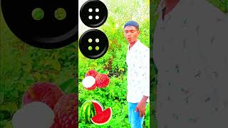 Watermelon mango grapes lichishorts trending 🔥🔥🔥🔥 [upl. by Einnad171]