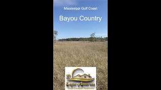 Mississippi Gulf Coast Old Fort Bayou [upl. by Anot524]