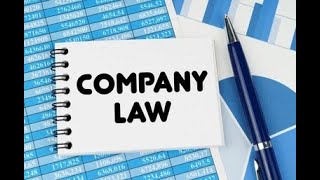 Liability for misstatements in prospectus Part13  Company Law  Law Made Simple [upl. by Pitt713]