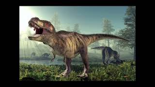 Herbivore  Carnivore  Omnivore dinosaurs [upl. by Berni]