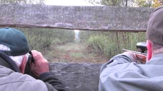 Hunting in Hungary  Wild Boar and Red Stag [upl. by Kenyon]