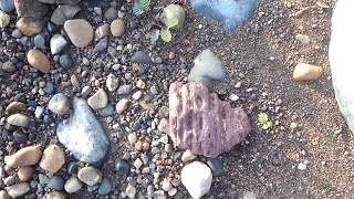 Philippine fossilized wood rock hunting [upl. by Aivan659]