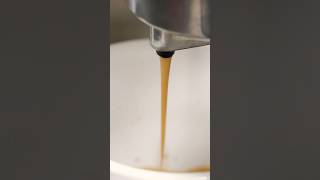 ASMR Espresso Experience  ShopRite Grocery Stores [upl. by Yevreh966]