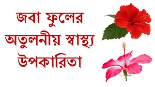 Joba fuler upokaritaজবা ফুলের উপকারিতাjoba ful er gunagunBest Bangla Videos [upl. by Bradleigh]