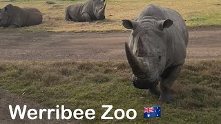 Werribee zoo Melbourne 🇦🇺 [upl. by Lalib]