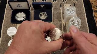 999 Silver Coins for Advanced Collectors Volume I One Troy Ounce Coins [upl. by Anselme]