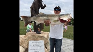 Striped bass fishing 2 What are they eating  al gags Whipit eelNOT for everybody [upl. by Coniah895]