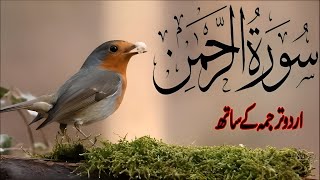 SURAH RAHMAN TARJUMA KE SATH QARI AL SHAIKH ABDUL BASIT ABDUL SAMAD  Ep 0021 [upl. by Hoashis]