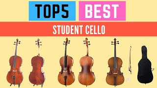 5 Best Student Cello Buying Guide 2021 [upl. by Season]