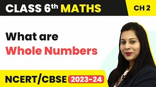 What are Whole Numbers  Whole Numbers  Class 6 Maths [upl. by Nerral]