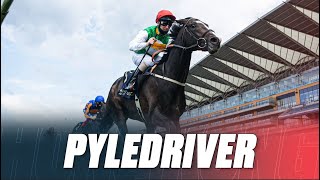 Can a £10000 horse WIN a HK20000000 race  Pyledriver [upl. by Zed]