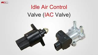 Top symptoms of IAC idle air control valve  causes of IAC valve [upl. by Tennek]