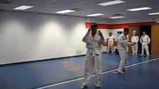 Hapkido Belt Test White to YellowJohn and Drew [upl. by Notlem]