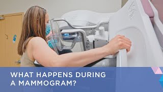 What Happens During a Mammogram [upl. by Rayburn]