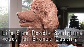 Poodle  Clay Dog sculpture ready for the bronze foundry [upl. by Adym]