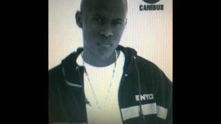 Canibus feat Youssou NDour amp Wyclef Jean  How Come [upl. by Demakis317]