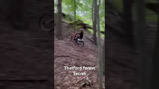 Thetford forest secret [upl. by Flemings]