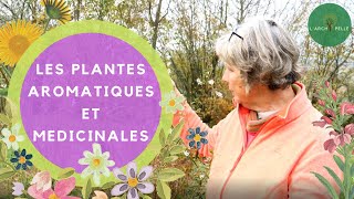 Les PLANTES AROMATIQUES et MEDICINALES pour votre jardin [upl. by Einwahs]