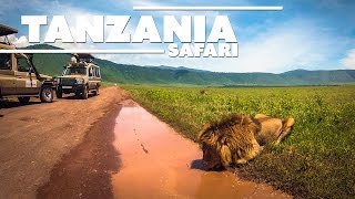 Tanzania Trip  Ultimate Safari HD GoPro [upl. by Tterag173]