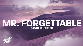 David Kushner  Mr Forgettable Lyrics quothello hello are you lonely im sorry its just the chemicalsquot [upl. by Cyril222]