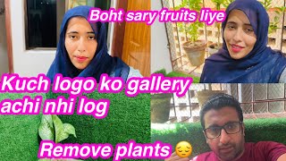 Remove plants😔  kuch logo ko gallery achi nhi lgi  Alishba Amir daily vlog [upl. by Oker57]