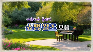 쇼팽왈츠 모음 아름다운 클래식 듣기 좋은 음악  Chopin Waltz [upl. by Adirehs393]