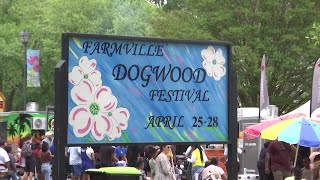 35th annual Farmville Dogwood Festival enjoys another successful year [upl. by Ronel430]