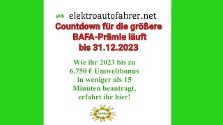 BAFA Antrag Elektroauto Unterlagen richtig ausfüllen  Ausfüllhilfe und Anleitung für Einsteiger [upl. by Jamieson]